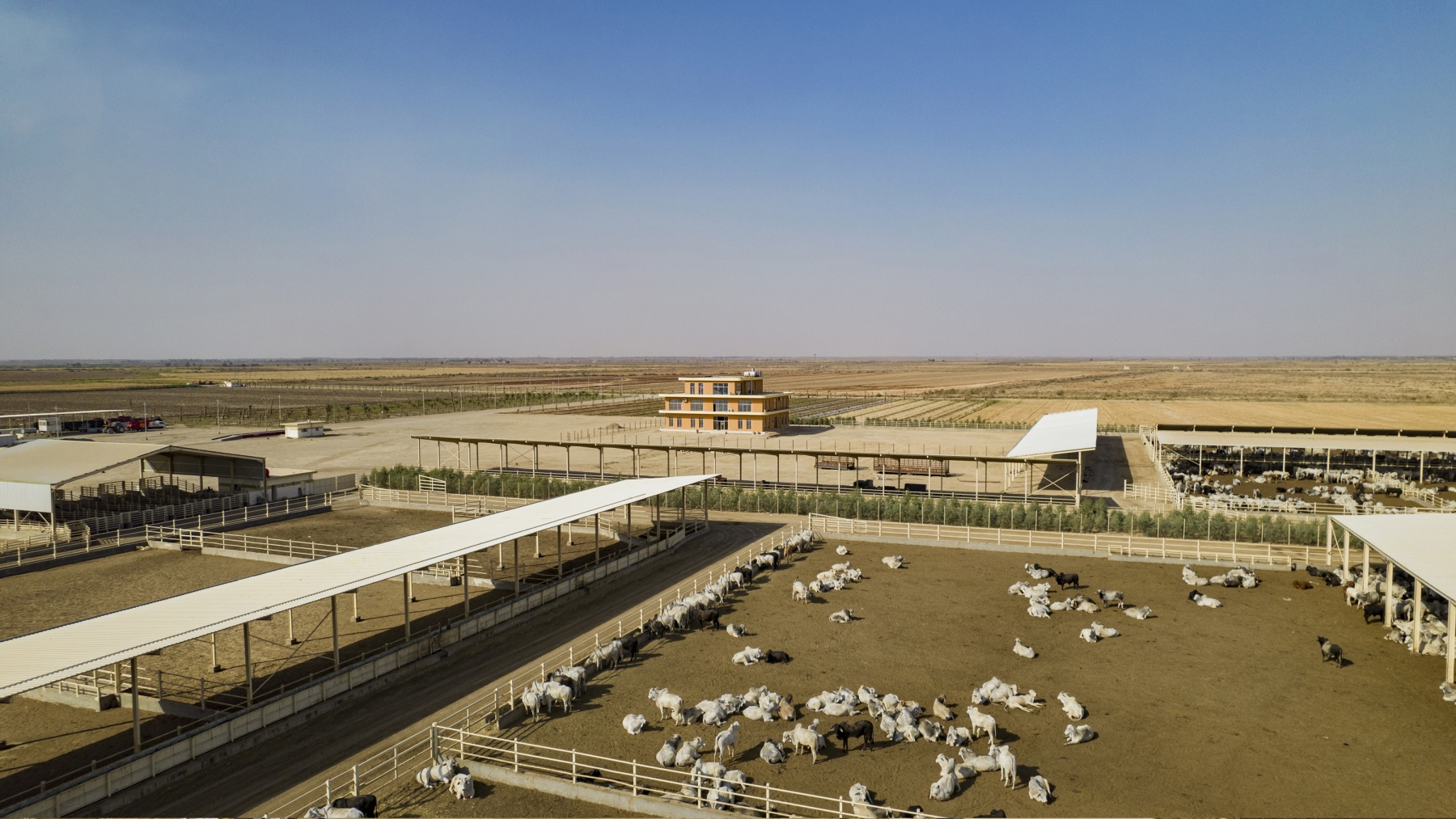 Iraq Farms Rivers Gallery – IRAQ Farms