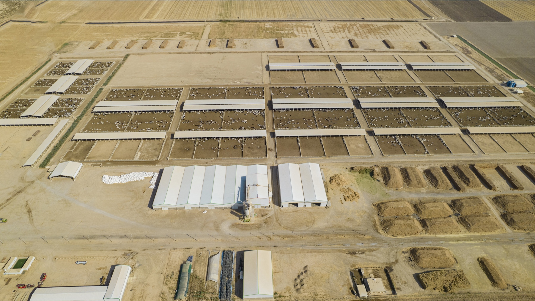 Iraq Farms Rivers Gallery – IRAQ Farms